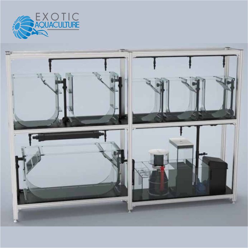 해파리 성장 시스템-Exotic Aquaculture
