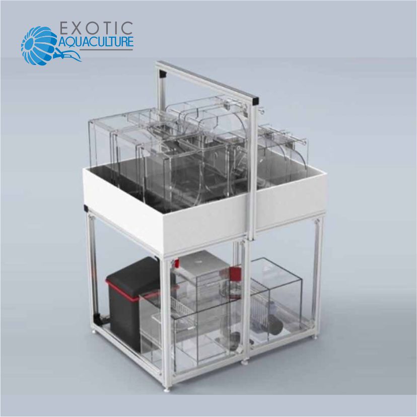 해파리 번식 벤치-Exotic Aquaculture