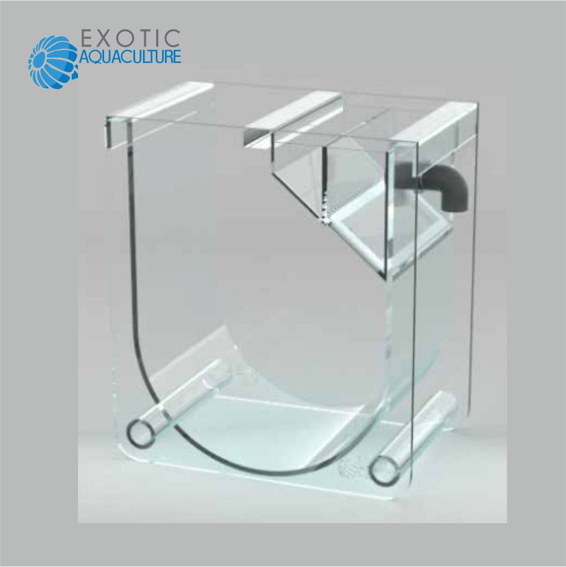 해파리 배양 수조-Exotic Aquaculture