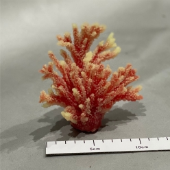 아크로포라-13x7.5x11cm (SH196)-B2-인조산호-원아쿠아