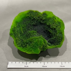 몬티포라 스콜-17.5x15.4x7.6cm (SH087)-B9-인조산호-원아쿠아