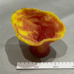 몬티포라 컵-14x12.5x10.8cm (SH088)-B9-인조산호-원아쿠아