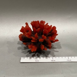 포실로포라-13.5x13.5x10cm (SH083)-B10-인조산호-원아쿠아