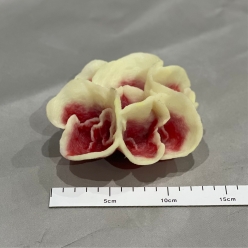 머슈름 코랄-13x11x5.7cm (SH042)-B6-인조산호-원아쿠아