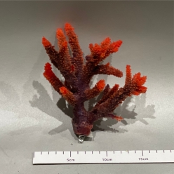 아크로포라 코랄 S-13x12x16cm (SH036S)-B6-인조산호-원아쿠아