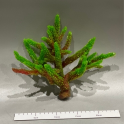 아크로포라 코랄 M-26x18x18cm (SH036M)-B6-B8-인조산호-원아쿠아