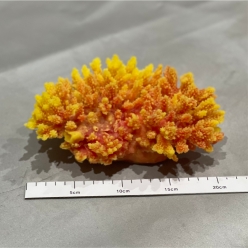 아크로포라S-20x13x7cm (SH020S)-B10-인조산호-원아쿠아