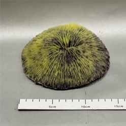 펑기아-15x14x3cm (SH006)-B9-인조산호-원아쿠아