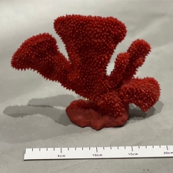 포티스-20x10x18cm (SH005)-B9-인조산호-원아쿠아