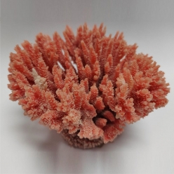 인조산호-10x10x5.5cm (MA160 아크로포라)-인조산호-원아쿠아