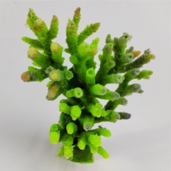 인조산호-10x6.5x13.5cm (MA148G+PU 아크로포라)-인조산호-원아쿠아