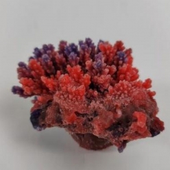 인조산호-8x7x5.5cm (MA141R+PU 아크로포라)-인조산호-원아쿠아