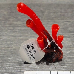 인조산호-7x4x10cm (MA126 SOFT)-인조산호-원아쿠아