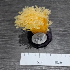 인조산호-6x6x9cm (SH297 PI)-인조산호-원아쿠아