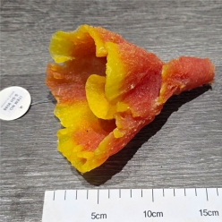 인조산호-14x14x18cm (S-SH9086)-인조산호-원아쿠아