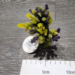 인조산호-8x8x10cm (SH9032)-인조산호-원아쿠아