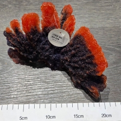 인조산호-25x15x10cm (SH029)-인조산호-원아쿠아