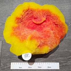 인조산호-30x27x15cm (SH086)-인조산호-원아쿠아