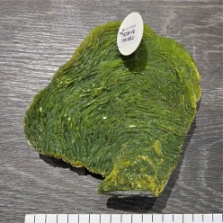 인조산호-17x19cm (SH9028L)-인조산호-원아쿠아