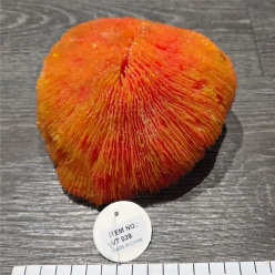 인조산호-18x18x10cm (VT039)-인조산호-원아쿠아