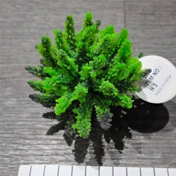 인조산호-10x10x9cm (H3)-인조산호-원아쿠아