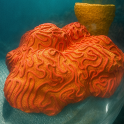 인조산호-70x70x25cm (H-VT005L)-인조산호-원아쿠아