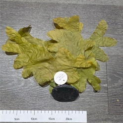 인조켈프 (KP014)-인조켈프-원아쿠아