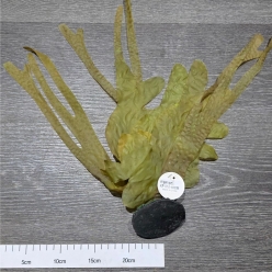 인조켈프 40cm (KP016-40cm)-인조켈프-원아쿠아