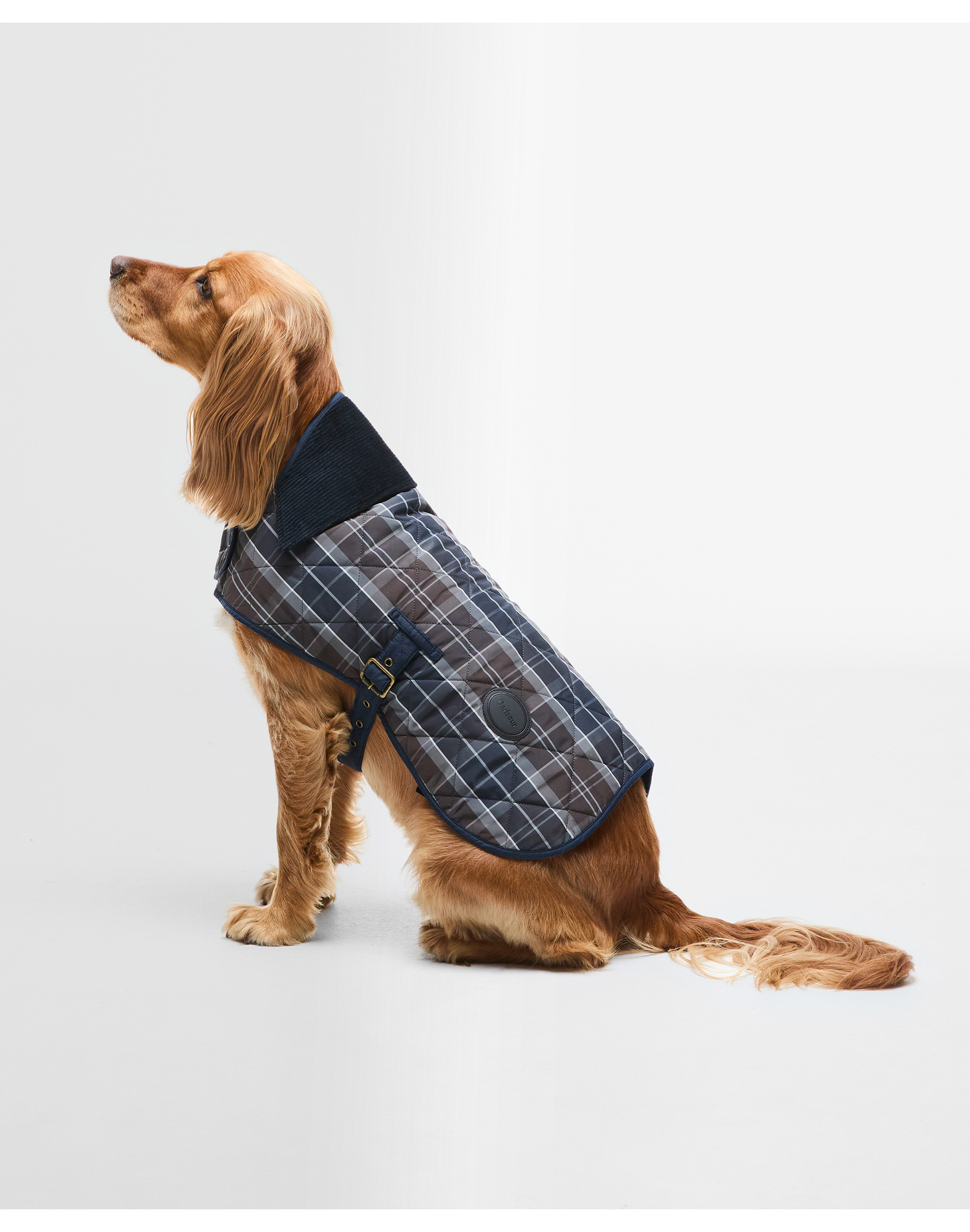 도그 브라운 타탄 퀼팅 코트