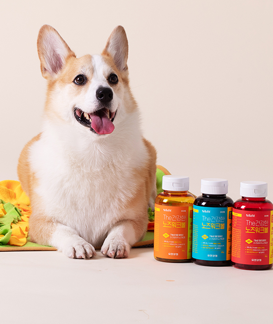 강아지 노즈워크 간식 연어(200g)