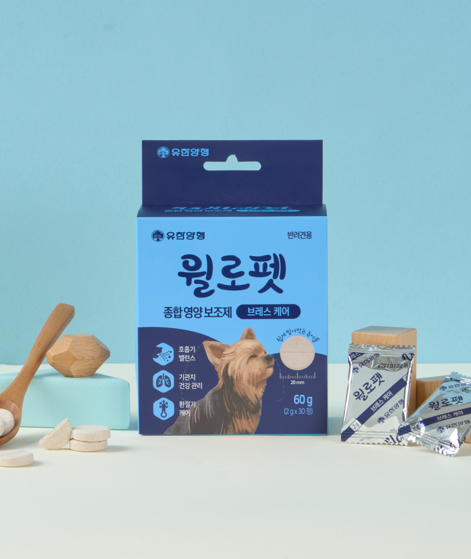 브레스&기관지 영양보조제 60g(30입)