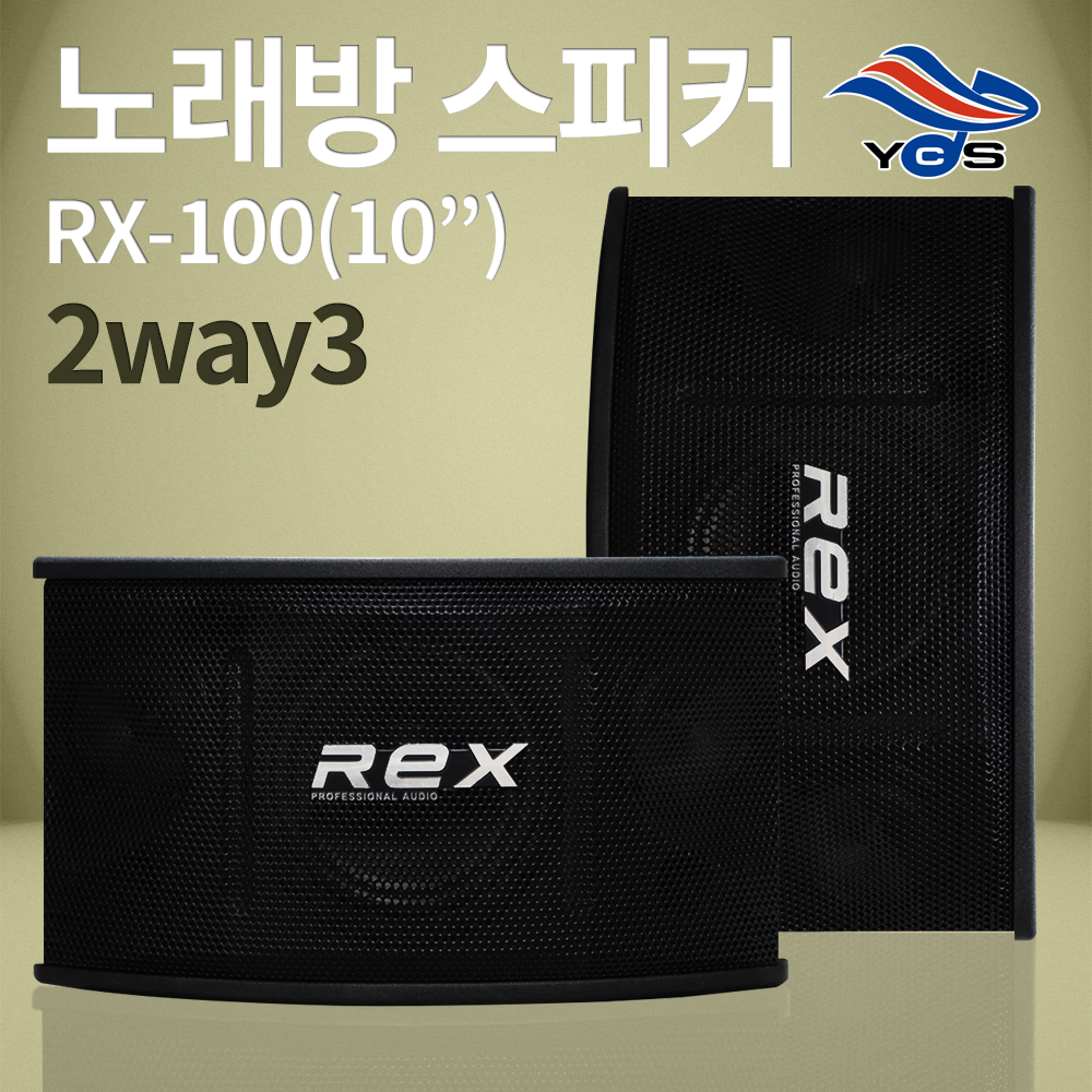 RX-100 (10인치)-노래방 2way3 스피커