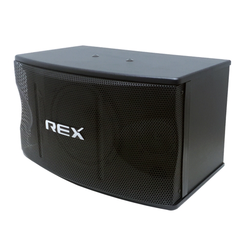 RX-100 (10인치)-노래방 2way3 스피커