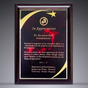 메탈레이저상패-125