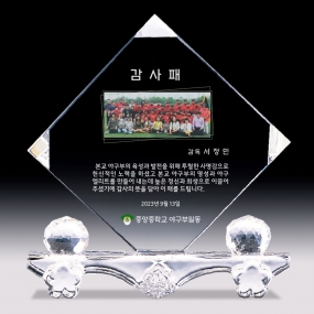 포토크리스탈-080