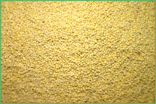 유기농 기장쌀 350g