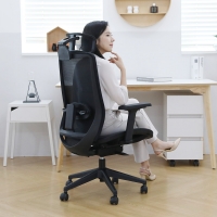 린백 LB254H 풀메쉬 사무용의자
