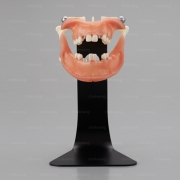 PE-IMP007