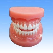 D13PP-TR.1