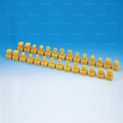 C13-AT.31 (1.2배 치아세트)