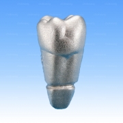 B8-320C (교정실습용치아세트(Metal))