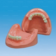 D51S-TRM.614 (LSB.2)