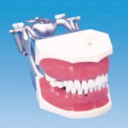 P15DP-TR.56B