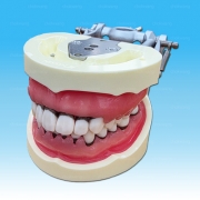 P15DP-TRM.421