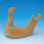 E7-X.1136