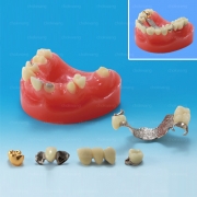 P22-TRM.98