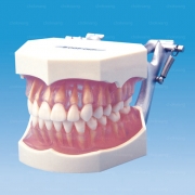I21D-400G