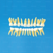 B4-309B(20's)