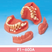 P1-600