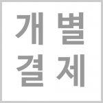 개별 결제 예